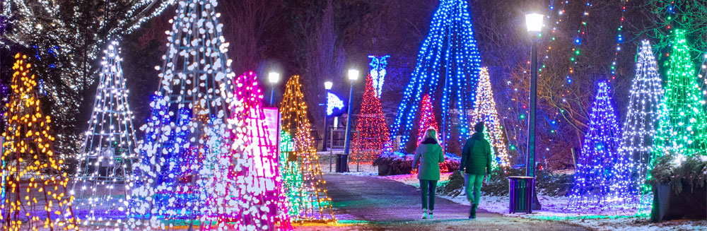 Niagara Falls Winter Festival of Lights - Wyndham Fallsview Hotel